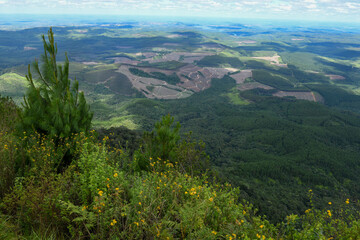 Landscape view at God's window in South Africa