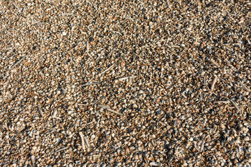 texture of shells