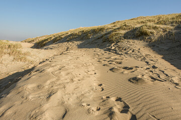 footprints in the dunes