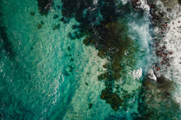 Aerial view of surfers paddling through the crystal clear water at Bronte Beach