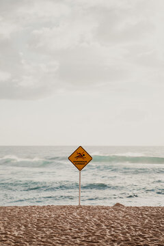 Dangerous current warning sign on Bronte Beach