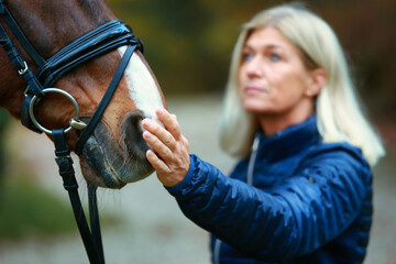 Horse head with bridle, close-up of the horse's mouth, out of focus in the background the rider,...