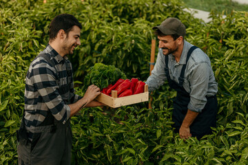 Shot of two men working on a farm and carrying a crate of vegetables in a garden.