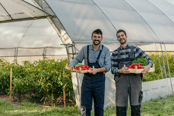 Portrait of two brothers and male workers standing with a crate full of fresh vegetables in front of a greenhouse. Small business concept.