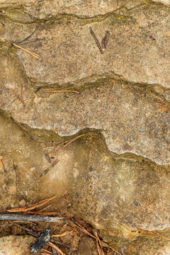 imagen detalle textura piedra con distintos cortes y profundidades con algunas hojas de pino secas 