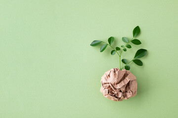 Naklejka na ściany i meble Eco, zero waste, plastic free and saving energy minimal concept from sprout with green leaves growing from recycled craft paper top view.