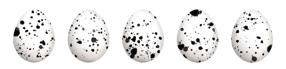 Eggs set on white background