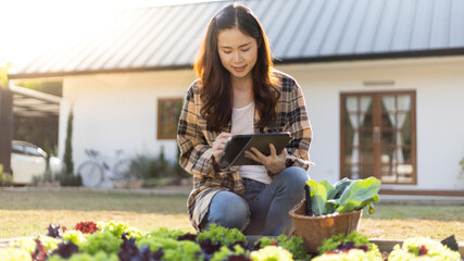 Owner of a small organic vegetable garden business uses a tablet to control and direct the supply of water and nutrients or to record the growth of vegetables in the garden, Vegetables in the greenhou