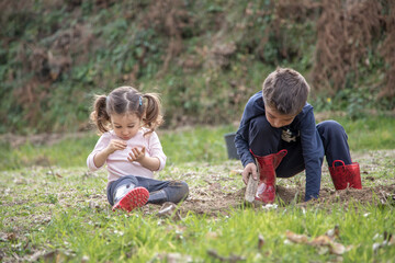 Naklejka na ściany i meble Boy and girl play together in great complicity, exploring nature, both sitting on the ground without fear of getting dirty, just having fun. Happy childhood, friendship, sharing and learning concept.