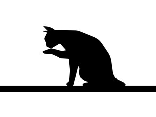 Shadow of cat on white background