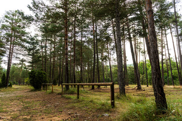 imagen de un parque natural con árboles muy altos y una barandilla de madera 