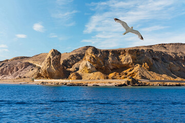 Naklejka premium Mountain rock landscape sea view, Egypt, Ras Mohammed National Park, Sinai