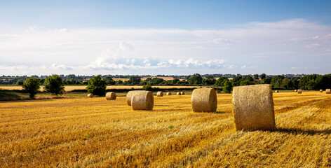 Fototapeta premium Paysage de campagne et meule de foin ou de paille au milieu des champs.