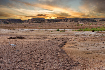 Ras Mohammed National Park desert sunset landscape, Sinai, Egypt