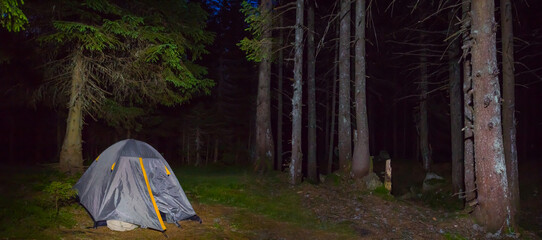 small touristic tent in night fir forest glade,  night touristic camp scene