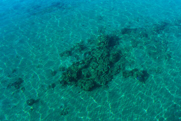 Blue green transparent sea water with corals