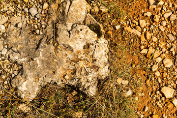 imagen detalle textura suelo de tierra y piedras con una roca más grande 