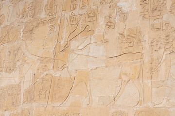 Fototapeta na wymiar Wall with ancient painting in Luxor, Egypt. Pharaoh Hatshepsut mortuary temple