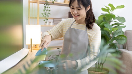 Housewife is cleaning things and Storage cabinet or showcase in the living room, Big cleaning, Housework, Daily routine ,Removes germs and dirt and deep stains, Clean up on weekends.