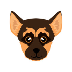 vector image dog face icon with white background