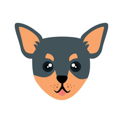 vector image dog face icon with white background