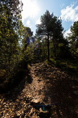 imagen de un paisaje de montaña, árboles, con el cielo azul y alguna nube 