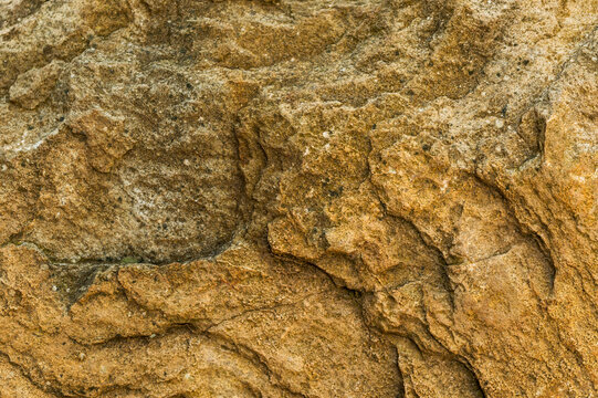imagen detalle textura roca con distintas profundidades 