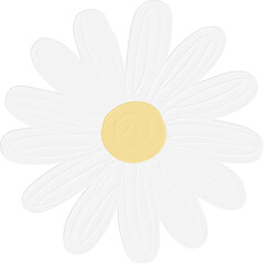 White cute daisy flower illustration hand drawn. Kawaii floral in acrylic watercolor painted style.