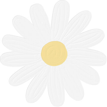 White cute daisy flower illustration hand drawn. Kawaii floral in acrylic watercolor painted style.