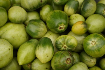 Green unripe tomatoes texture. Vegetable background.
