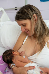 Newborn baby in its first hours of life breastfeeding.
