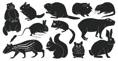 Species of rodents vector black set icon. Isolated black set icon gnawer.Vector illustration species of rodents on white background.