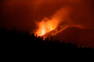 Eruption of Cumbre Vieja with silhouette of trees in La Palma, Canary Islands