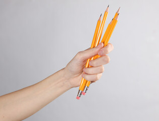 Woman's hand holds lot of pencils on a gray background