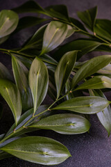 Fototapeta na wymiar Bright green leaves of Italian Ruscus plant
