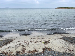 Vladivostok, Akhlestysheva Bay on Russkiy Island near the city beach in autumn in cloudy weather