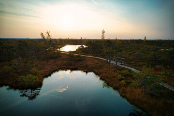 Obraz premium A drone photo of expansive summer swamps with winding streams, tall reeds and grasses, and green and brown wetlands. Capturing the nature scenery of this remote and unspoiled wilderness