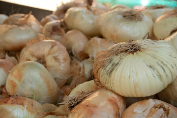 Giarratana onions