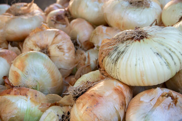 Giarratana onions