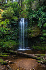 Obraz premium Wasserfall in Urwald oder Regenwald mit Baumstamm und grünen Pflanzen und Fels.