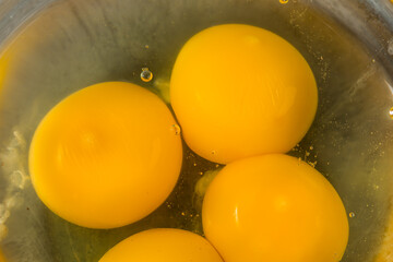Raw Organic White Eggs
