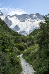 Fototapeta na wymiar Gletscher in Neuseelands Alpen mit Gipfel und Eis und Urwald.