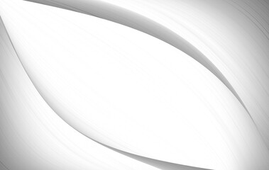 abstract white and silver are light pattern gray with the gradient is the with floor wall metal texture soft tech diagonal background black dark clean modern.