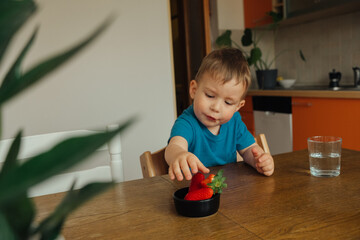 Beautiful child with brown eyes eating strawberry at home. at the table