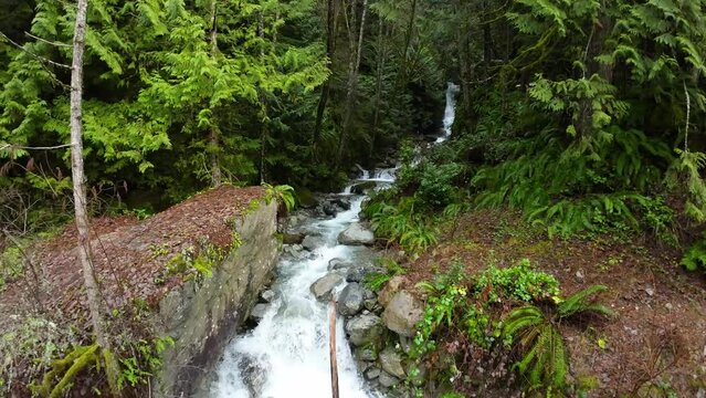 Peaceful River and Waterfall in vibrant green Forest. Near Squamish and Vancouver, British Columbia, Canada. Slow Motion