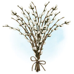 Watercolor pussy willow decoration © angela0982