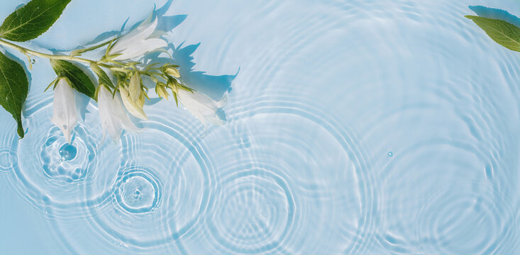 Transparent background texture of water with drops, ripples and flowers