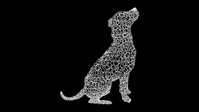 Wiggling Dog Scribble Drawing 2