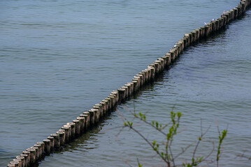 Drewniany falochron na morzu  Bałtyckiego / Wooden breakwater on the Baltic Sea © LukaszB