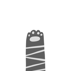 Cat paw sinmpe doodle hand drawn set. Cartoon vector funny meow kitty concept